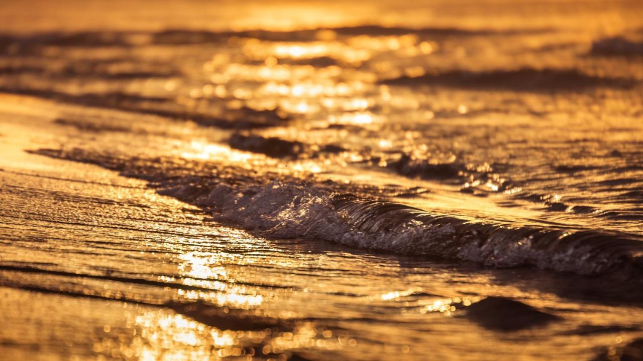 Апартаменты Mieszkanie Sea Waves Гданьск Экстерьер фото